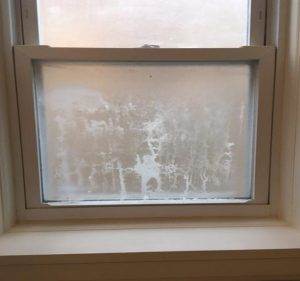 Elgin Glass Replacement